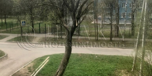 3-комн квартира Заклинье (Заклинское с/п), Новая,  д. 28