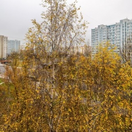 Продажа 2-комн квартиры на вторичном рынке улица Тёплый Стан,  д. 6