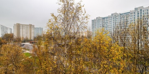 2-комн квартира улица Тёплый Стан,  д. 6