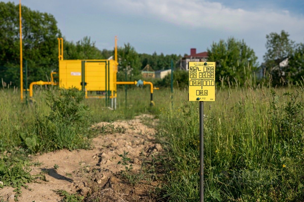 Продажа земли д. Горки (Веревское территориальное управление), улица Благодатная