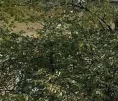 Продать Квартиры вторичка Пушкин, Захаржевская улица, 14   