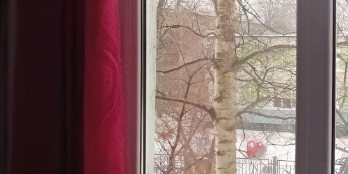 Комната проспект Славы, 25