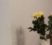 Сдать в аренду Квартиры вторичка Мурино, улица Шоссе в Лаврики, 72к3   