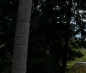 Продать Дачи, коттеджи, загородные дома пос. Репино, Курортная улица, 14   