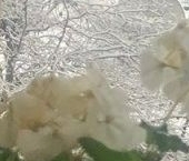 Продать Дачи, коттеджи, загородные дома д. Заклинье, улица Старая   