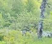 Продать Дачи, коттеджи, загородные дома Красное Село, проспект Красных Командиров, 87   