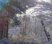 Продать Земельные участки, земля Апраксин садоводческий массив, Металлист СНТ, улица Ручейная, 5   