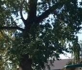 Продать Квартиры вторичка д. Горки, улица Полковникова, 28   