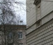 Продать Квартиры вторичка Колпино, Павловская улица, 23/16   