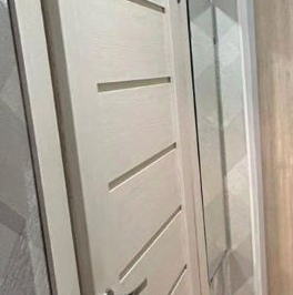 Аренда 1-комн квартиры на вторичном рынке пос. Янино-1, улица Голландская, 10