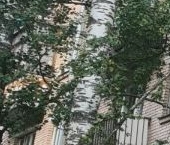 Продать Квартиры вторичка Всеволожск, Александровская улица, 77к2   