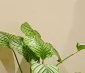 Продать Квартиры вторичка Самаринская улица, 1   