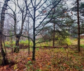 Продать Земельные участки, земля Федоровка д, Садовая ул  3 