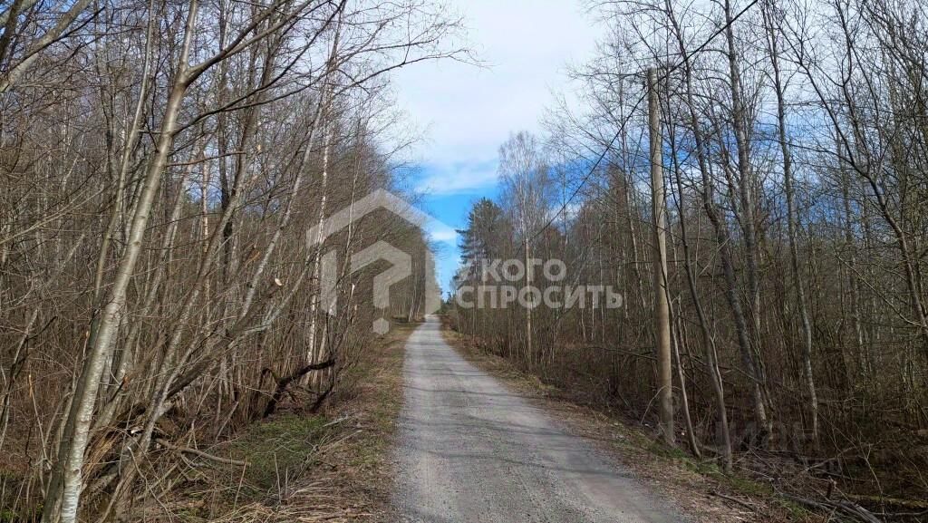 Продажа земли пос. Красноармейское, переулок Лесной