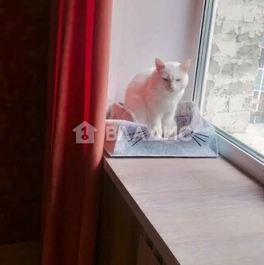 Продажа 5-комн квартиры на вторичном рынке Котельники, Железнодорожная улица,  д. 20