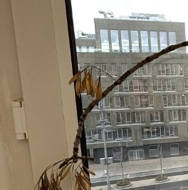 Продажа 2-комн квартиры на вторичном рынке Смоленский бульвар, 22/14