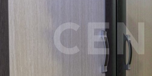 2-комн квартира Светлановский проспект, 48/19