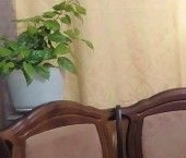 Сдать в аренду Квартиры вторичка пос. Бугры, улица Полевая, 18   