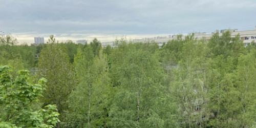 1-комн квартира Гражданский пр-кт,  д. 130,  к. 1