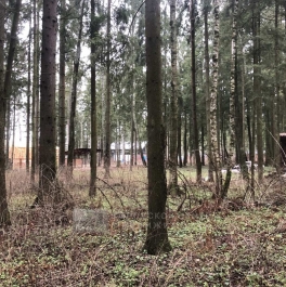 Продажа земли Мытищи г., Продажа земли Мытищи г.,