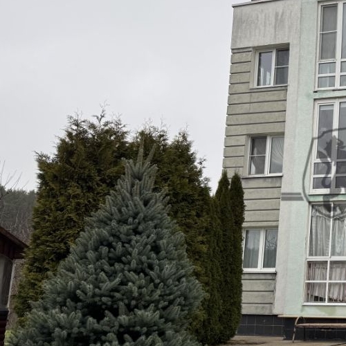 1-комн квартира д. Черная, улица Европейская,  д. 23