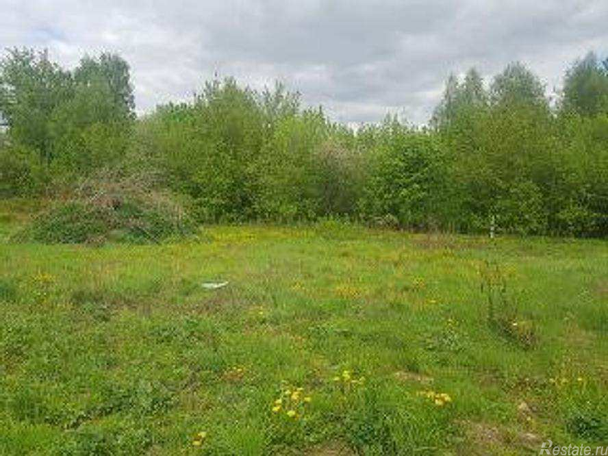 Продажа земли село Никоновское