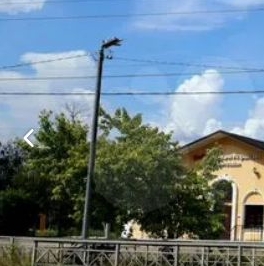 Продажа земли Славянка садовое товарищество, Коммунальщик СНТ, 9-я линия, 184 Продажа земли Славянка садовое товарищество, Коммунальщик СНТ, 9-я линия, 184