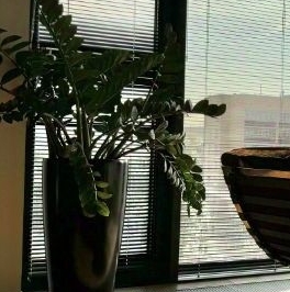 Аренда 3-комн квартиры на вторичном рынке Ленинградский проспект, 36с36 Аренда 3-комн квартиры на вторичном рынке Ленинградский проспект, 36с36