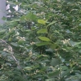 Продажа 2-комн квартиры на вторичном рынке Олимпийский проспект, 22