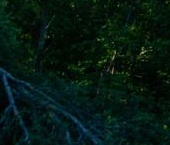 Продать Земельные участки, земля д. Матокса, улица Западная   