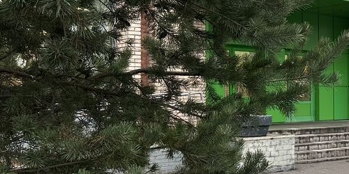 3-комн квартира Индустриальный проспект, 35К1