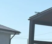 Продать Дачи, коттеджи, загородные дома д. Светлое, улица Карельская, 38   