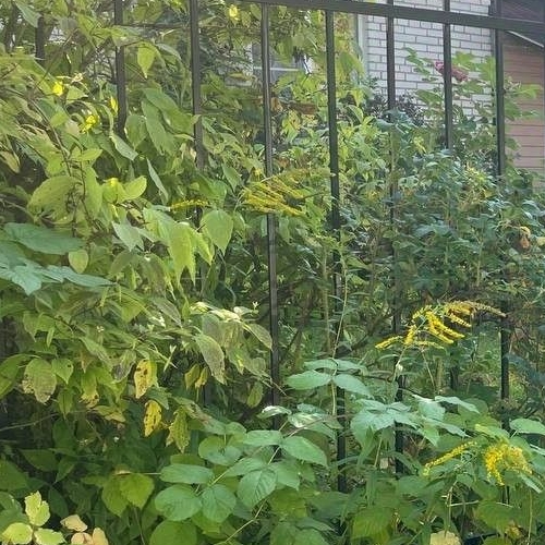 Коттедж/дом Здоровье-1 СНТ, улица Лесная,  д. 32