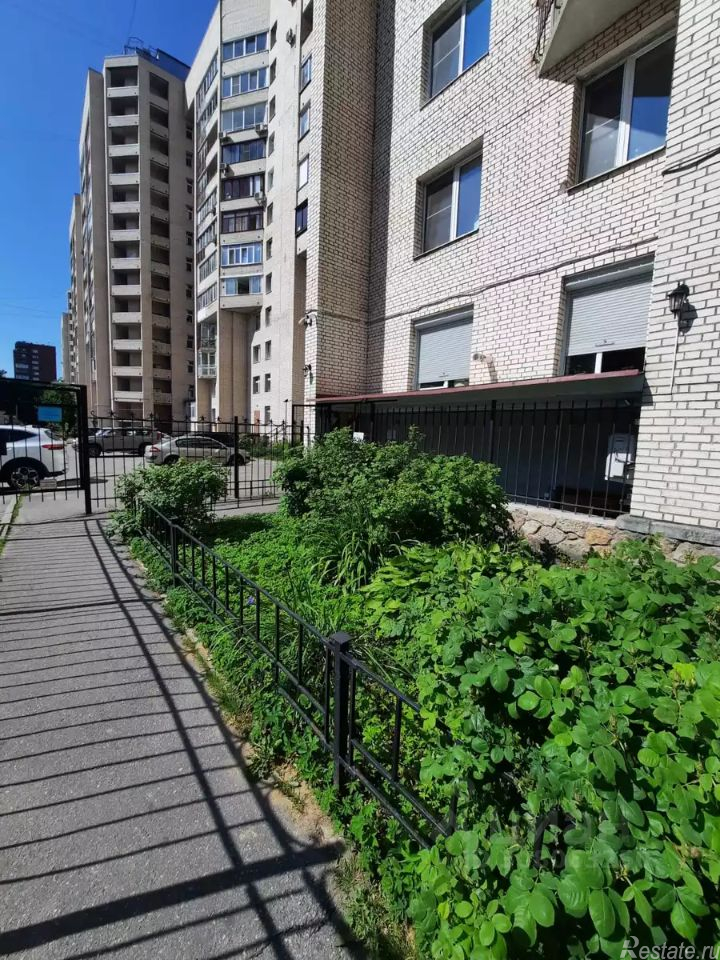 Продажа ПСН Светлановский пр-кт,  д. 115 к1