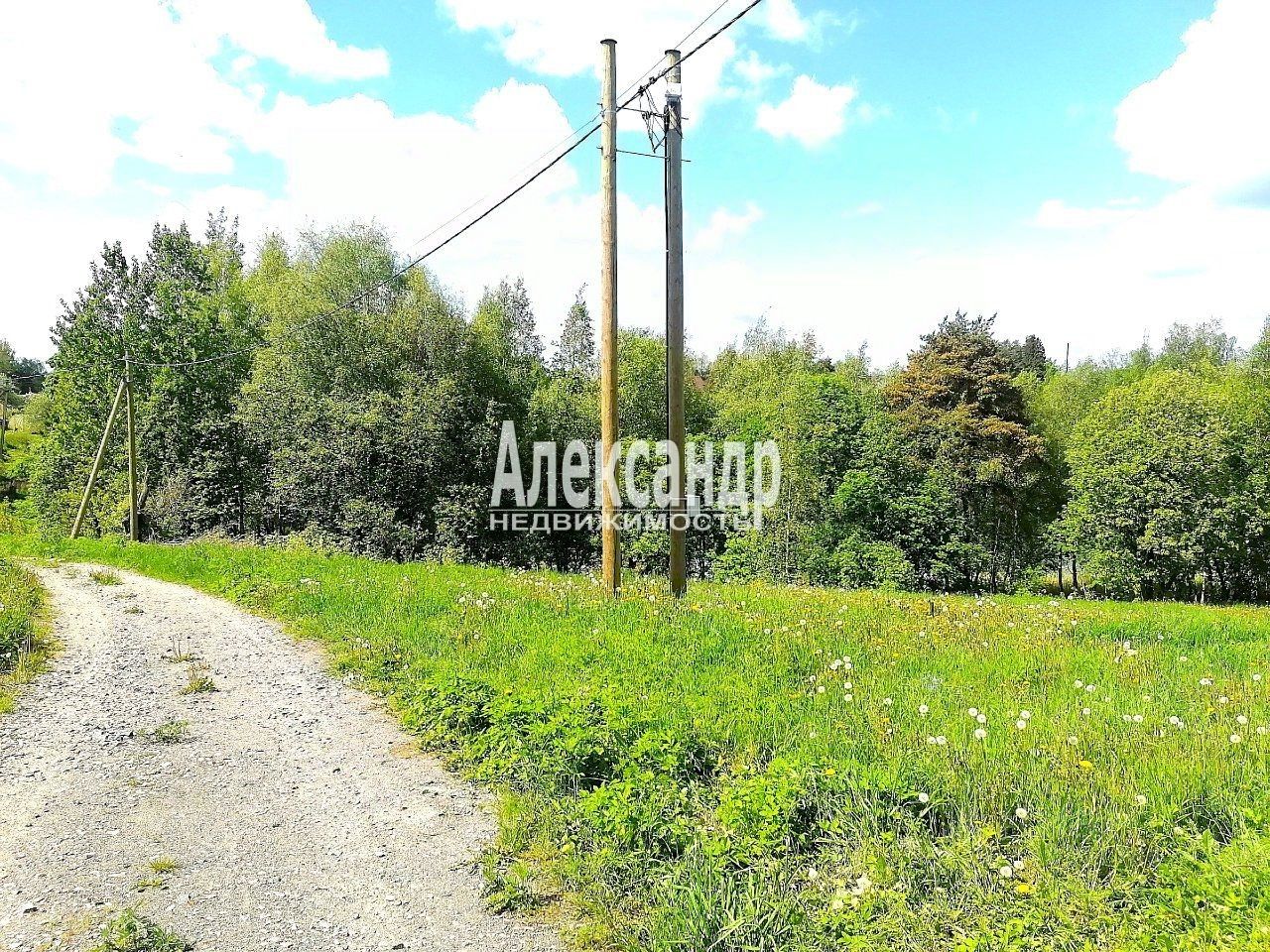 Продажа земли пос. Сосново, улица Озерная, 28В