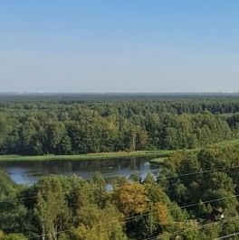 Аренда студии дорога Муринская, 8к1 Аренда студии дорога Муринская, 8к1