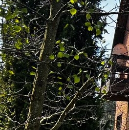 Продажа дома пос. Александровская, улица Аграрная, 19А