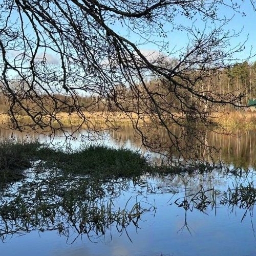 Коттедж/дом Выборг, улица Небесная,  д. 25