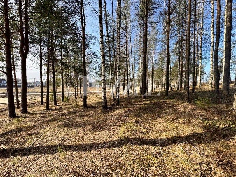 Продажа земли ХиллСайд кп, д. Мистолово, улица Светлая