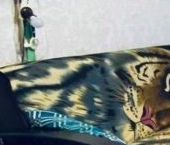 Продать Квартиры вторичка Сестрорецк, набережная Реки Сестры, 11   