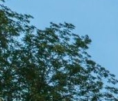 Продать Квартиры вторичка проезд Досфлота, 2А   