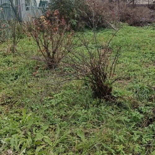 Коттедж/дом Славянка садовое товарищество, Апраксин СНТ, улица Западная, 22