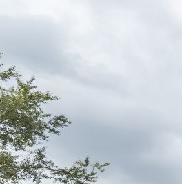 Продажа 3-комн квартиры на вторичном рынке улица 5-я Соколиной Горы, 21А Продажа 3-комн квартиры на вторичном рынке улица 5-я Соколиной Горы, 21А