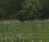 Продать Земельные участки, земля Пушкин, Кондакопшино тер., улица Полевая   