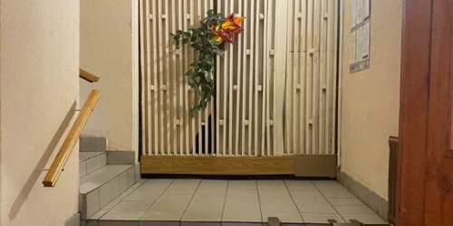 2-комн квартира ул Буренина,  д. 1,  к. 1