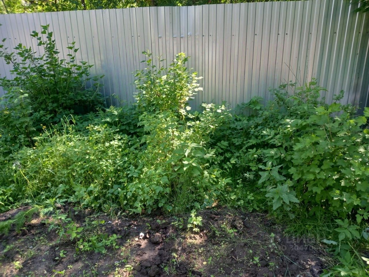 Продажа дома Дружное-3 СНТ, улица Орехова