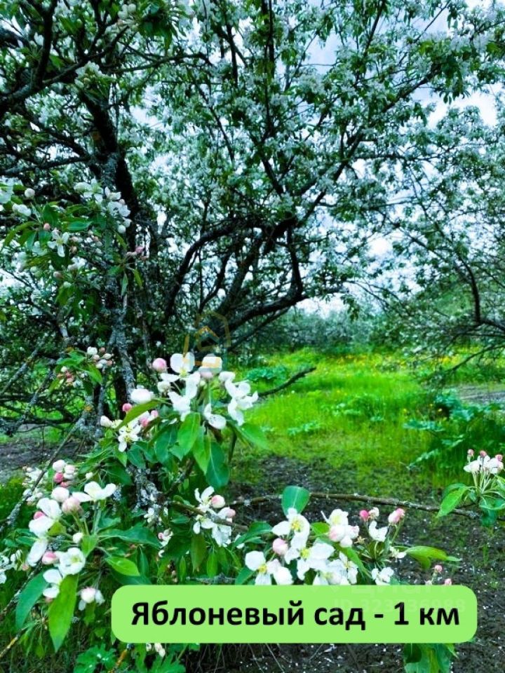 Продажа земли Павловск, Славяночка-2 СНТ, 53