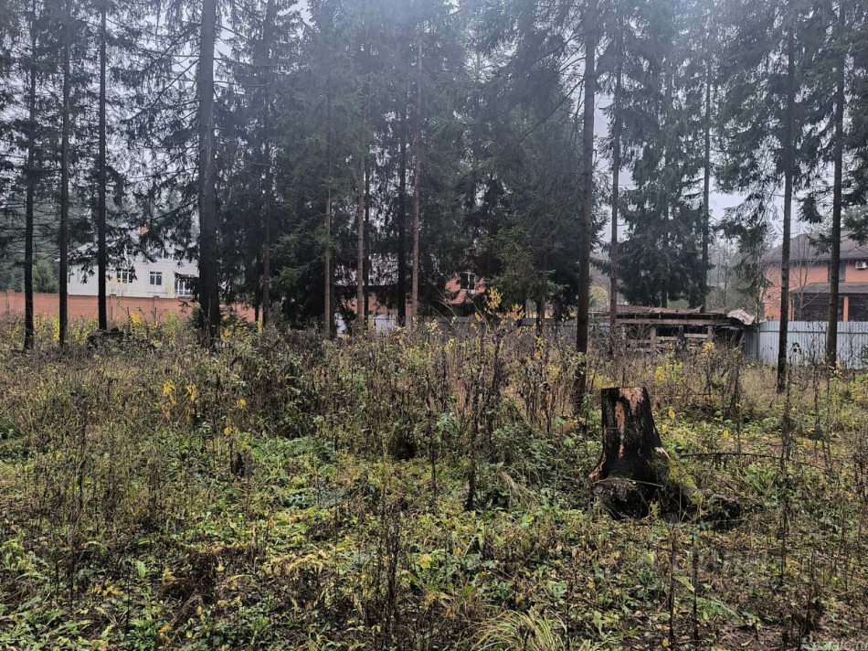 Продажа земли Домодедово, Луговая улица