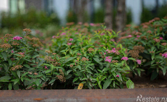 Продажа 1-комн квартиры на вторичном рынке Прибрежный проезд