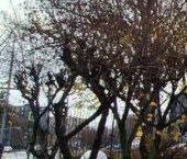 Продать Квартиры вторичка Мосфильмовская улица, 8к1   